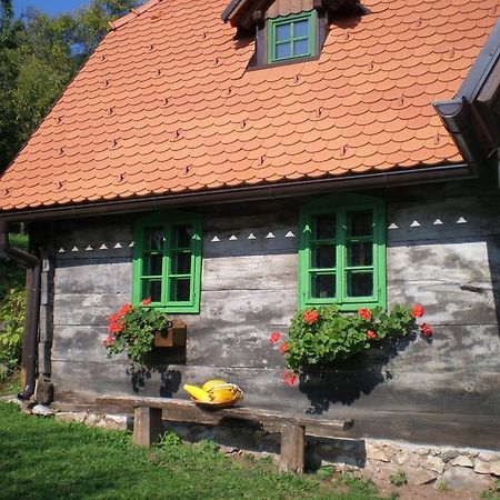 Apartmani Etno Kuca Pod Okicem Самобор Стая снимка