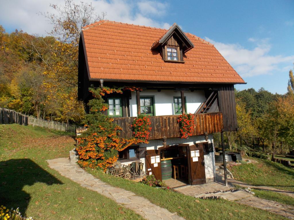 Apartmani Etno Kuca Pod Okicem Самобор Стая снимка
