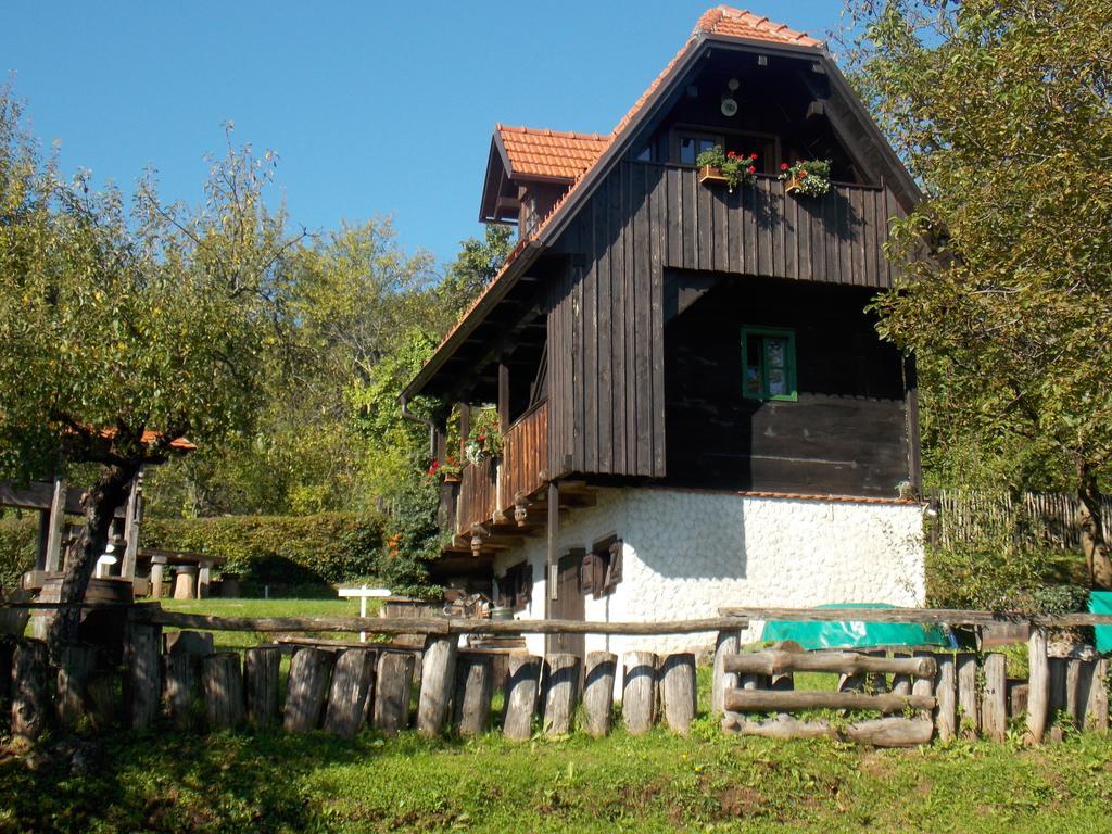 Apartmani Etno Kuca Pod Okicem Самобор Стая снимка